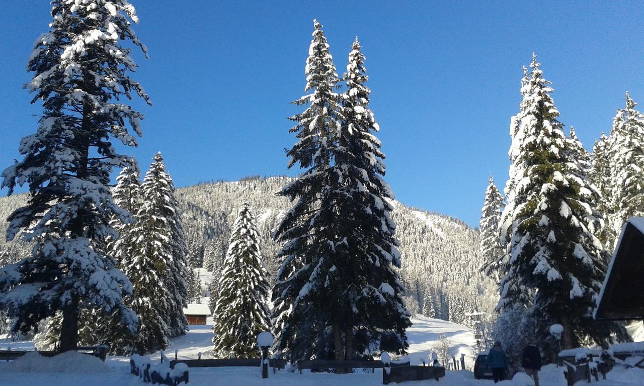 Apartment An Der Traun Бад Аузее Екстериор снимка